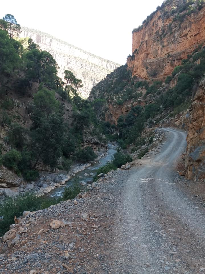 67769366_885331271849036_4051057318735904768_n