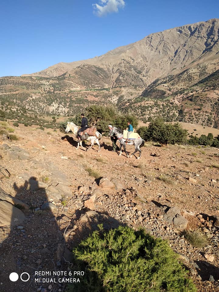 93702676_1083836435331851_2440970175063785472_n